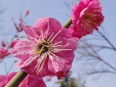 -济南国际园博园