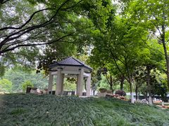 -后襄河公园