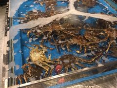 水产区-蟹将军·松叶蟹和牛日料放题自助(K11店)