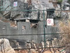 -胡里山炮台
