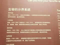-上海自然博物馆