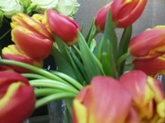 -三旗百汇商品城