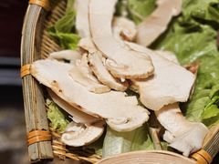 -滇野云南野生菌餐厅(陕西南路店)