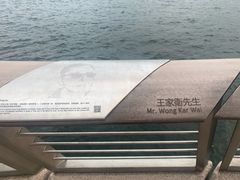 -星光大道