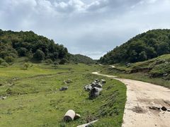 -令氏家外家岐山面(火炬路店)