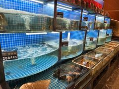 -上淮宴(蓝惠首府店)