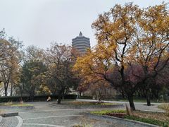 -玲珑塔公园