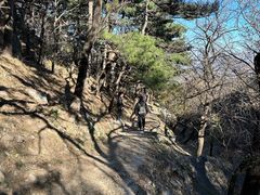 -北京鹫峰国家森林公园