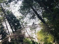 -天河潭旅游度假区