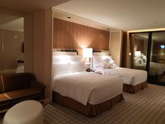 -拉斯维加斯永利酒店