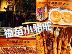 -福苗小骆驼烧烤(莲湖路店)