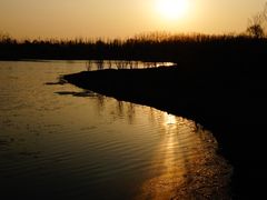 -东郊湿地公园