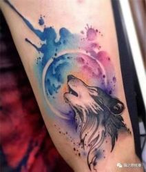 -龙之吻专业刺青·手工耳洞·纹身去色