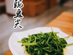 清炒豌豆尖-椿1978江湖菜