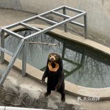 30块钱买一上午的快乐[调皮]