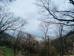 -惠山国家森林公园