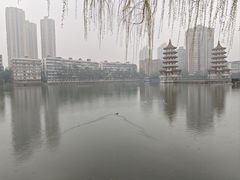 -宝岛公园