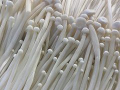 -郭记烤肉创始店(民丰大街店)