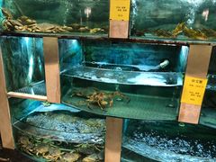 水产区-石湖大酒店(桐泾店)
