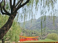 -龙庆峡风景区