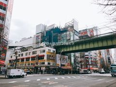 -秋叶原电器街