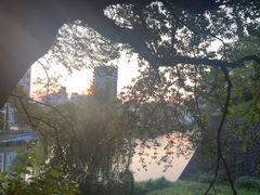 -名古屋城