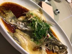 清蒸桂花鱼-景式·廣東粤菜(凤凰古站店)