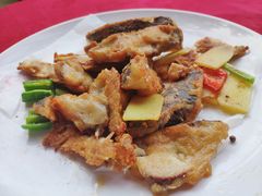 -绿雅居原生态农庄(小涌店)
