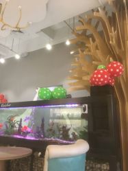 点击看大图 -可爱多国际儿童摄影会馆(龙泉店)