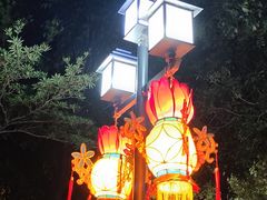 -映月湖公园