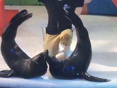 -成都浩海立方海洋公园