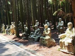 -武陵山森林公园