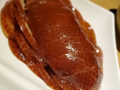 -梧桐