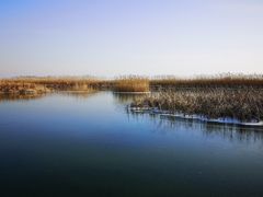 -苏州太湖湖滨国家湿地公园