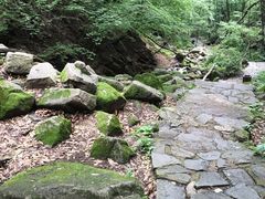 -三块石国家森林公园