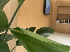 -XPEL旗舰店·汽车贴膜·隐形车衣·改色贴膜