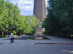 -玲珑塔公园