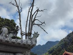-灵光寺