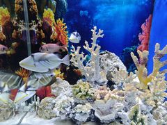 -多彩贵州城极地海洋世界