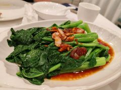 白灼菜心-粤珍轩·家宴·广式茶点(新城广场店)