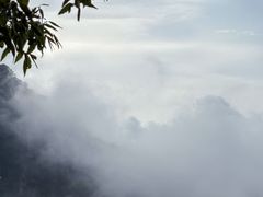-少华山国家森林公园