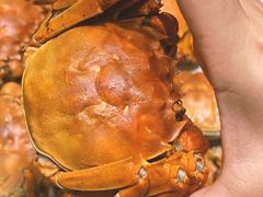 -童福兴·南京菜(老门东店)