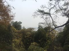 -天目湖涵田半山温泉