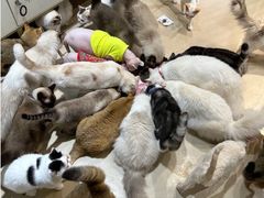 -藏猫猫咖啡主题馆(中央大道店)