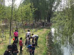 -长白岛森林公园