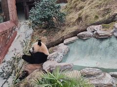 -乐和乐都主题乐园