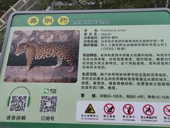 -石家庄市动物园