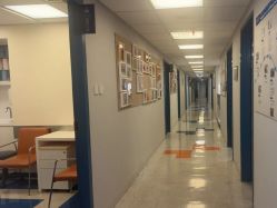 -杭州贝瑞斯美华妇儿医院·早孕·产检·儿科