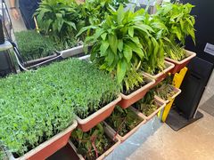 -海鸿荟·沿江菜(中山北路店)