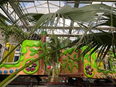 -南宫五洲植物乐园